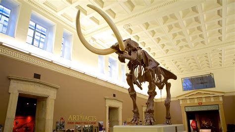 Buffalo museum of science - 7. ⭐ Avg shopper savings: $17.50. 9 20% off. Buffalo Museum of Science promo codes, coupons & deals, March 2024. Save BIG w/ (9) Buffalo Museum of Science verified discount codes & storewide coupon codes. Shoppers saved an average of $17.50 w/ Buffalo Museum of Science discount codes, 25% off vouchers, free shipping deals.